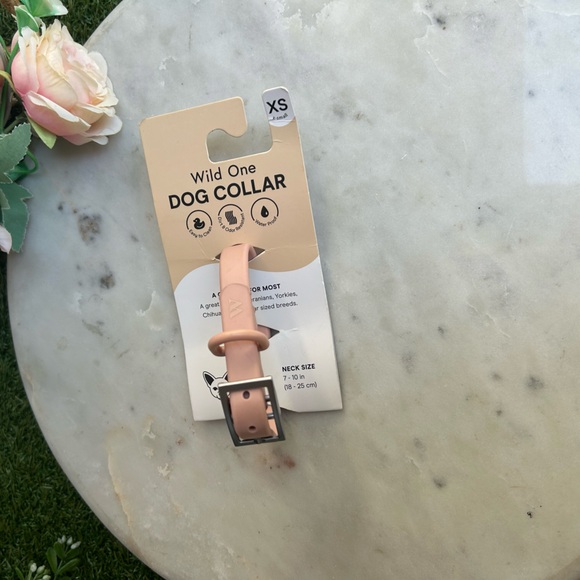 Wild One Collar in Blush
XS NEW 
$38 EXTRA SMALL  7”-10"  STRAP WIDTH 0.5” - Picture 8 of 16